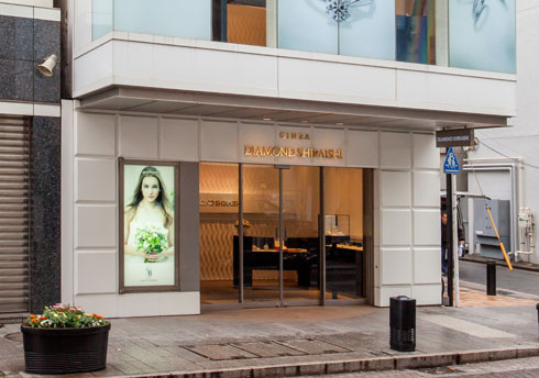 ����_�C�������h�V���C�V���l�����X